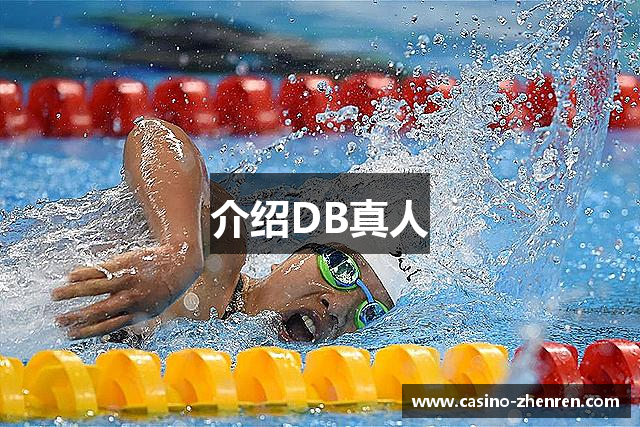介绍DB真人